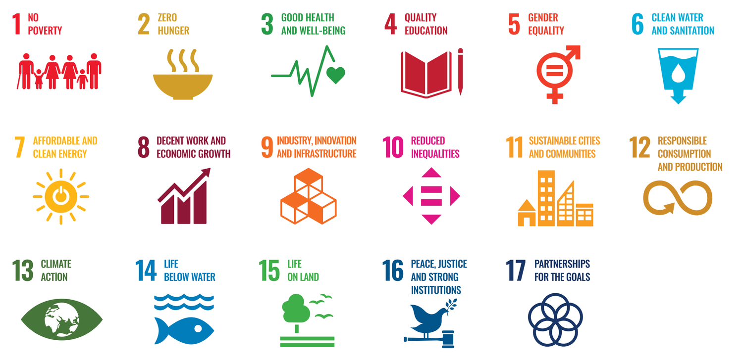 United Nations Sustainable Development Goals (SDGs).